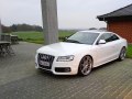Audi S5 S5 Coupe (8T)